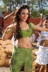 Nisha Agarwal Spicy Pics - 93 of 120