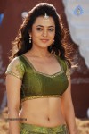 Nisha Agarwal Spicy Pics - 96 of 120