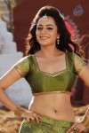 nisha-agarwal-spicy-pics