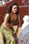 Nisha Agarwal Spicy Pics - 115 of 120