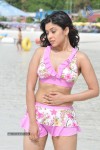 Payal Ghosh (Harika) Spicy Gallery - 64 of 96