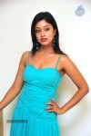 Payal Ghosh Spicy Stills - 4 of 70