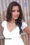 Priya Anand Spicy Pics - 4 of 24