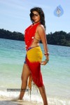 priyamani-hot-photos