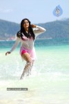 priyamani-hot-photos