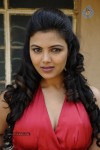 Priyanka Tiwari Hot Stills - 14 of 43