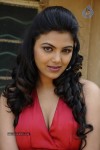 Priyanka Tiwari Hot Stills - 20 of 43