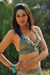 Sakshi Choudary New Hot Stills - 15 of 208