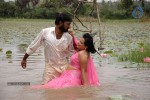 Senkadu Tamil Movie Spicy Stills - 43 of 97