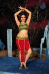 Sheena Shahabadi Hot Photos - 12 of 137