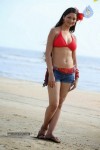 Shilpi Sharma Hot Bikini Pics - 4 of 9