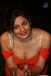 shilpi-sharma-hot-photos