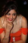 shilpi-sharma-hot-photos