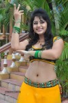 Sonam Singh Spicy Stills - 71 of 66