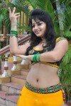 Sonam Singh Spicy Stills - 75 of 66