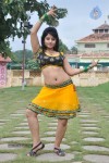 Sonam Singh Spicy Stills - 78 of 66