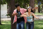 Sutta Pazham Sudatha Pazham Tamil Movie Hot Stills - 35 of 51