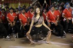 Swetha Basu Prasad New Spicy Stills - 21 of 151