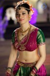 Tamanna New Hot Gallery - 7 of 140
