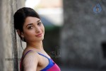 Tamanna Spicy Photos - 50 of 97