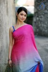 Tamanna Spicy Photos - 56 of 97