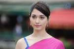 Tamanna Spicy Photos - 66 of 97