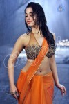 tamanna-spicy-stills