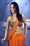 Tamanna Spicy Stills - 6 of 23