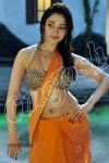 Tamanna Spicy Stills - 9 of 23