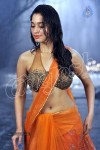 Tamanna Spicy Stills - 10 of 23