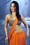 Tamanna Spicy Stills - 13 of 23