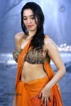 Tamanna Spicy Stills - 17 of 23