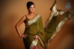 Tanu Roy Hot Photos - 11 of 17