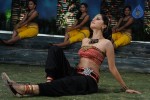 Tapsee Hot Gallery - 10 of 52