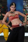 Tapsee Hot Gallery - 33 of 52