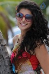 Tapsee Spicy Photos - 12 of 31