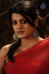 Tashu Kaushik Hot Photos - 17 of 88