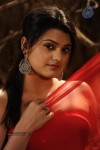 Tashu Kaushik Hot Photos - 24 of 88