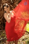 Tashu Kaushik Hot Photos - 34 of 88