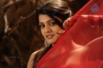 Tashu Kaushik Hot Photos - 52 of 88