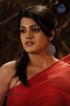 Tashu Kaushik Hot Photos - 62 of 88