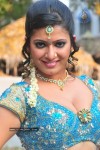 taslima-sheik-spicy-gallery