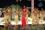 Udaya Bhanu Hot & Spicy Pics in Leader - 71 of 74