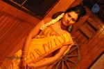 Vennilavin Arangetram Tamil Movie Spicy Stills - 32 of 45