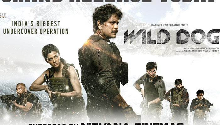 Wild Dog Review
