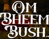 Om Bheem Bush Review