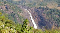 Naxal bandh call: high alert sounded on Andhra-Orissa border
