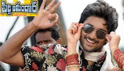 Pilla Zamindar Movie Review (1st On Net)