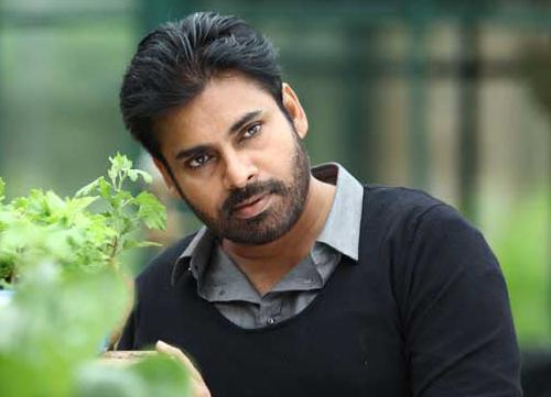 Panja sure to become trendsetter