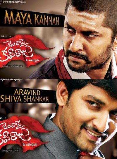 Nani Inherits Pawan Kalyan Style